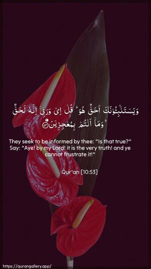 Yunus Ayah 53 - Arabic + English wallpaper