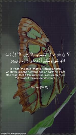 Yunus Ayah 55 - Arabic + English wallpaper