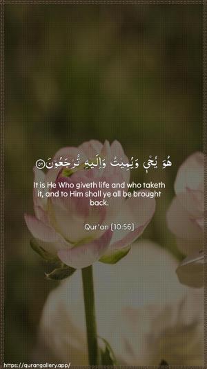 Yunus Ayah 56 - Arabic + English wallpaper