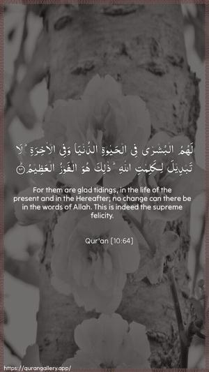 Yunus Ayah 64 - Arabic + English wallpaper