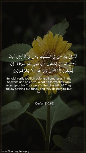 Yunus Ayah 66 - Arabic + English wallpaper
