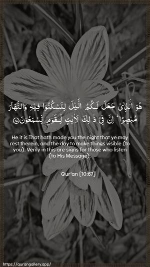 Yunus Ayah 67 - Arabic + English wallpaper