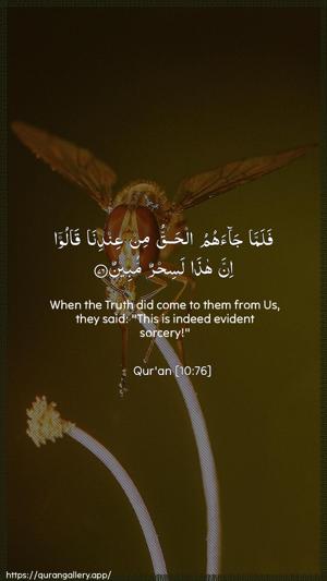 Yunus Ayah 76 - Arabic + English wallpaper