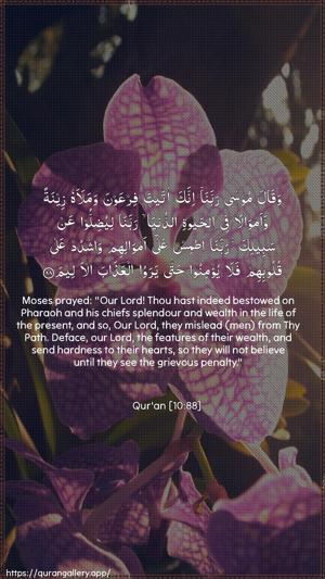 Yunus Ayah 88 - Arabic + English wallpaper