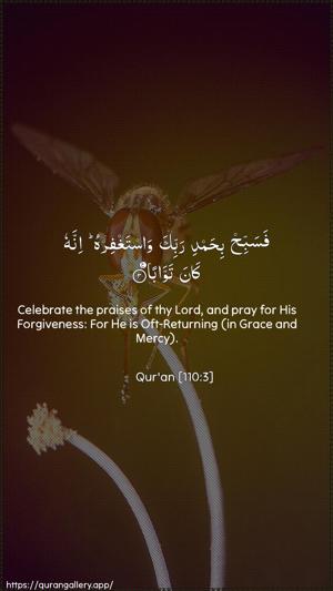 An-Nasr Ayah 3 - Arabic + English wallpaper