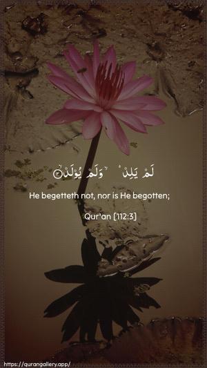 Al-Ikhlaas Ayah 3 - Arabic + English wallpaper