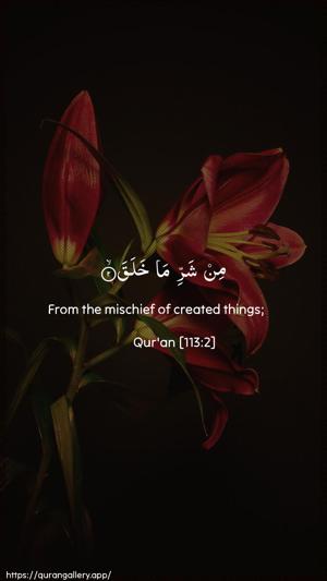 Al-Falaq Ayah 2 - Arabic + English wallpaper