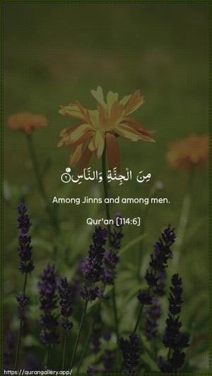 An-Naas Ayah 6 - Arabic + English wallpaper