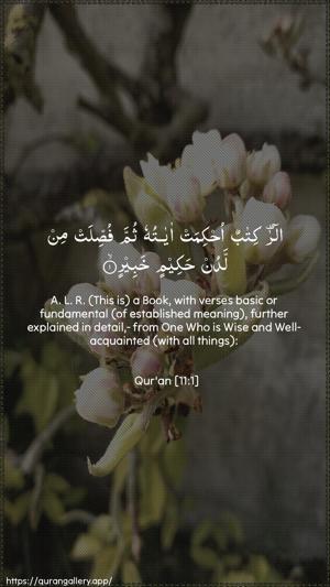 Hud Ayah 1 - Arabic + English wallpaper