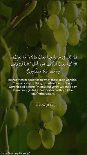 Hud Ayah 109 - Arabic + English wallpaper