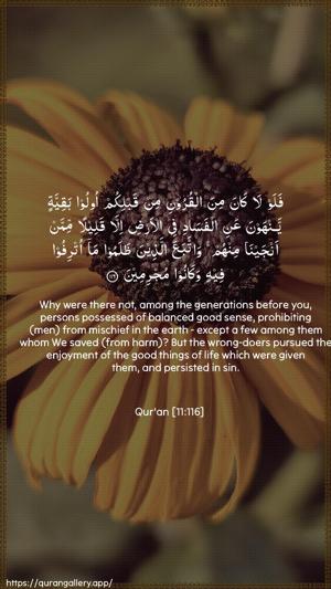 Hud Ayah 116 - Arabic + English wallpaper