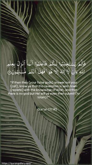 Hud Ayah 14 - Arabic + English wallpaper