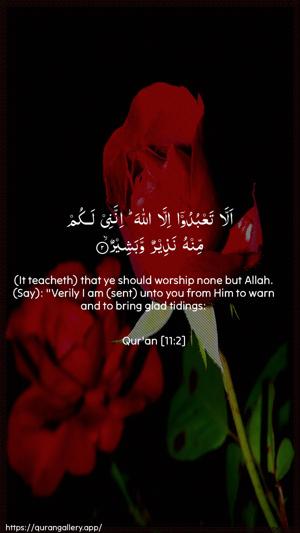 Hud Ayah 2 - Arabic + English wallpaper