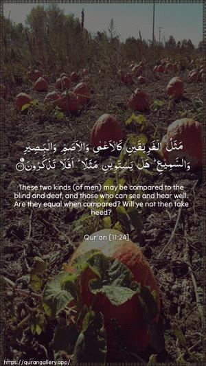Hud Ayah 24 - Arabic + English wallpaper