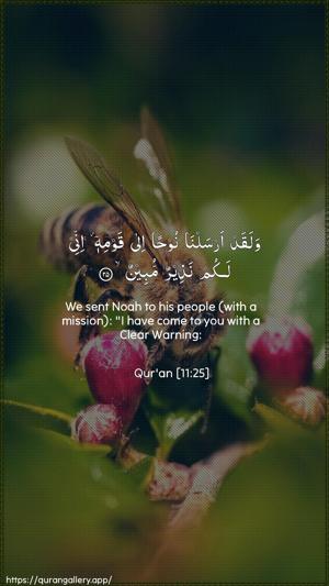 Hud Ayah 25 - Arabic + English wallpaper