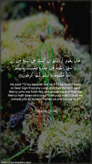 Hud Ayah 28 - Arabic + English wallpaper