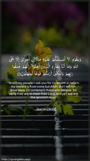Hud Ayah 29 - Arabic + English wallpaper