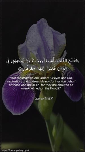 Hud Ayah 37 - Arabic + English wallpaper