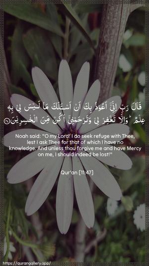 Hud Ayah 47 - Arabic + English wallpaper