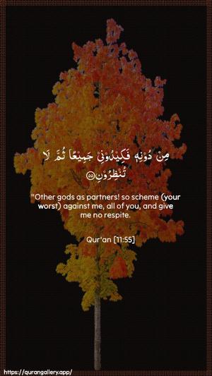 Hud Ayah 55 - Arabic + English wallpaper