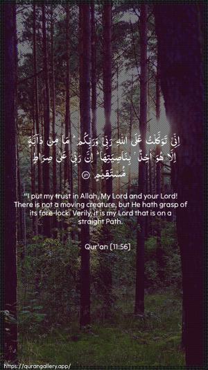 Hud Ayah 56 - Arabic + English wallpaper