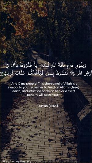 Hud Ayah 64 - Arabic + English wallpaper