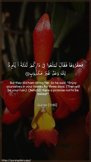 Hud Ayah 65 - Arabic + English wallpaper