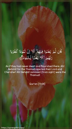 Hud Ayah 68 - Arabic + English wallpaper