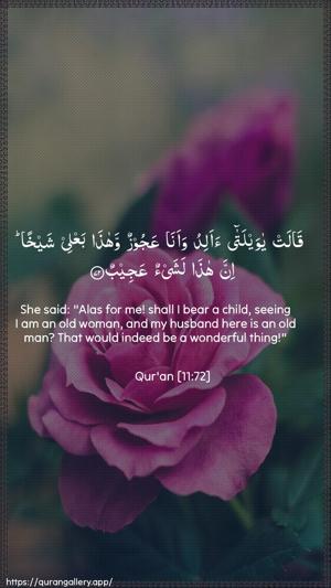 Hud Ayah 72 - Arabic + English wallpaper