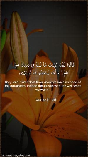Hud Ayah 79 - Arabic + English wallpaper