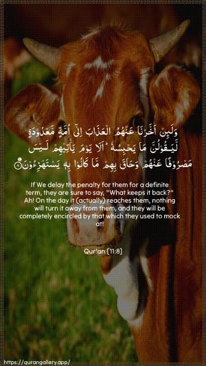 Hud Ayah 8 - Arabic + English wallpaper