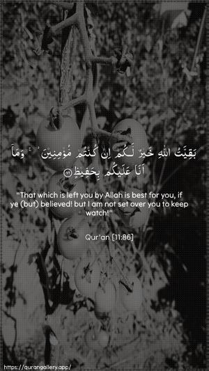 Hud Ayah 86 - Arabic + English wallpaper