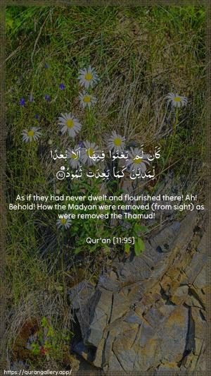 Hud Ayah 95 - Arabic + English wallpaper