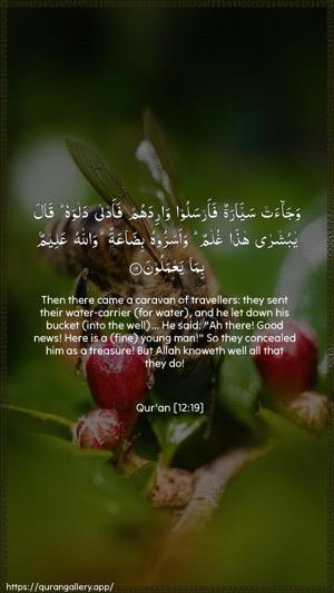 Yusuf Ayah 19 - Arabic + English wallpaper