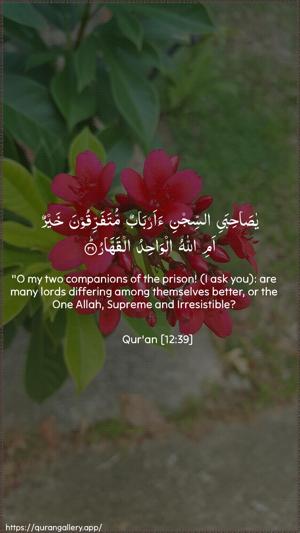 Yusuf Ayah 39 - Arabic + English wallpaper