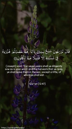 Yusuf Ayah 47 - Arabic + English wallpaper