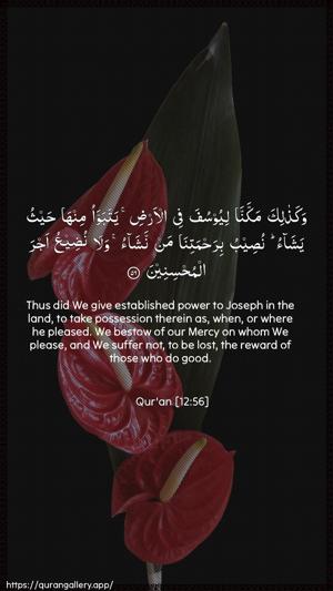 Yusuf Ayah 56 - Arabic + English wallpaper
