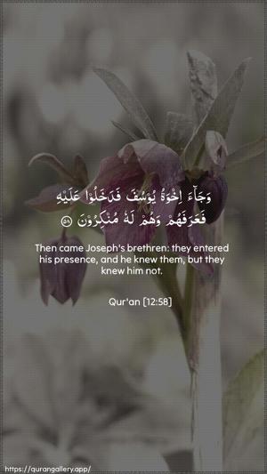 Yusuf Ayah 58 - Arabic + English wallpaper