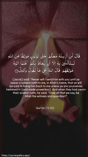 Yusuf Ayah 66 - Arabic + English wallpaper