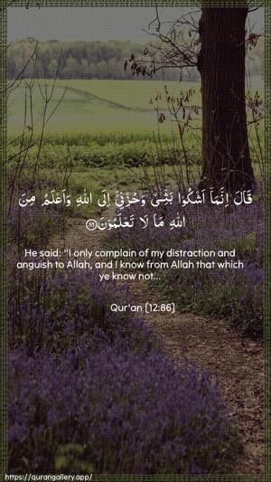 Yusuf Ayah 86 - Arabic + English wallpaper