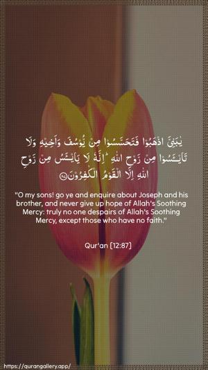 Yusuf Ayah 87 - Arabic + English wallpaper