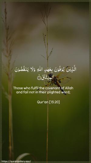 Ar-Ra"d Ayah 20 - Arabic + English wallpaper