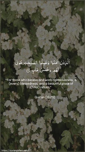 Ar-Ra"d Ayah 29 - Arabic + English wallpaper