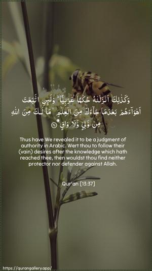 Ar-Ra"d Ayah 37 - Arabic + English wallpaper