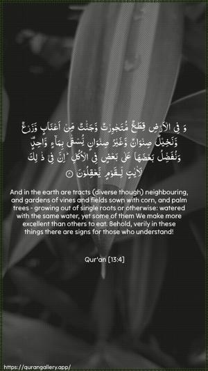 Ar-Ra"d Ayah 4 - Arabic + English wallpaper