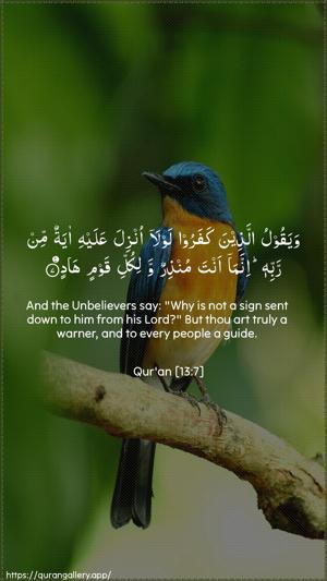 Ar-Ra"d Ayah 7 - Arabic + English wallpaper