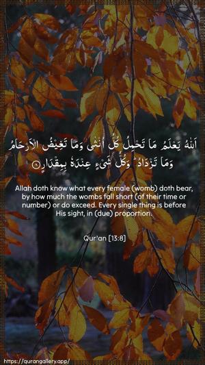 Ar-Ra"d Ayah 8 - Arabic + English wallpaper