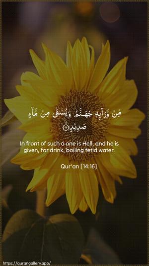 Ibrahim Ayah 16 - Arabic + English wallpaper