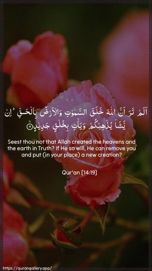 Ibrahim Ayah 19 - Arabic + English wallpaper