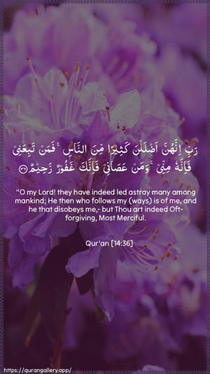 Ibrahim Ayah 36 - Arabic + English wallpaper